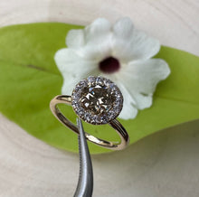 Load image into Gallery viewer, Halo ring in 14 ct. gold with 0,69 tcw. natural diamonds