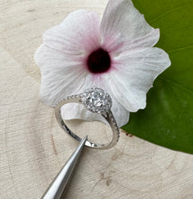 Load image into Gallery viewer, Diamondring in 14 ct. white gold with 0,84 tcw. natural diamonds