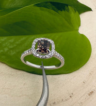 Load image into Gallery viewer, Ring in 14 ct. white gold with 1,37 tcw. diamonds.