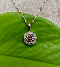 Load image into Gallery viewer, Necklace in 14 ct. pink gold with 0,53 tcw. diamonds