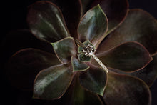 Load image into Gallery viewer, Elegant Gold Ring with Light Brown Diamond