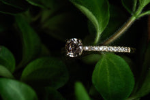 Load image into Gallery viewer, Elegant Gold Ring with Light Brown Diamond