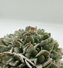 Load image into Gallery viewer, White Gold Ring with a big Yellow-Brown Center Diamond