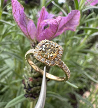 Load image into Gallery viewer, Diamond ring in 14 ct. yellow gold with 0,89 tcw. diamonds
