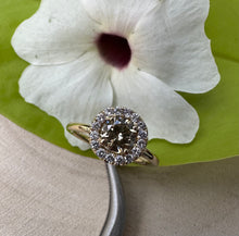 Load image into Gallery viewer, Halo ring in 14 ct. gold with 0,69 tcw. natural diamonds
