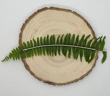 Load image into Gallery viewer, Tennis bracelet in 14 ct. white gold with 2,20 ct. natural diamonds
