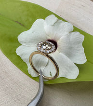 Load image into Gallery viewer, Halo ring in 14 ct. gold with 0,69 tcw. natural diamonds
