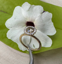 Load image into Gallery viewer, Halo ring in 14 ct. gold with 0,69 tcw. natural diamonds
