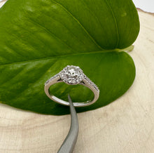 Load image into Gallery viewer, Halo ring in 14 ct. white gold with 0,44 tcw. diamonds
