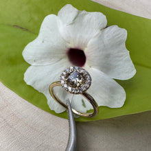 Load image into Gallery viewer, Halo ring in 14 ct. gold with 0,69 tcw. natural diamonds
