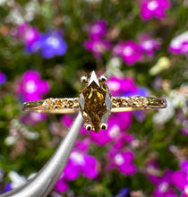 Load image into Gallery viewer, 14 ct. yellow gold ring with 0,32 tcw. diamonds
