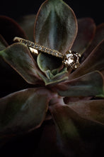 Load image into Gallery viewer, Elegant Gold Ring with Light Brown Diamond
