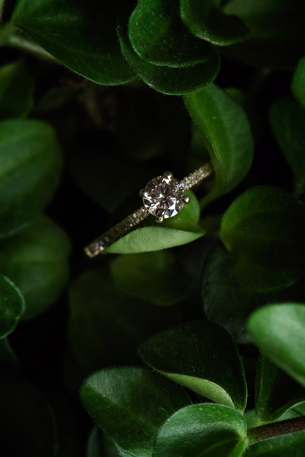 Elegant Gold Ring with Light Brown Diamond